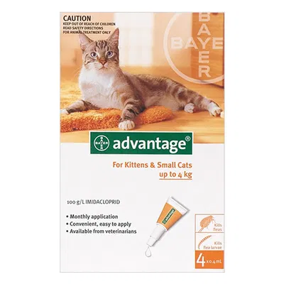 Advantage for Cats