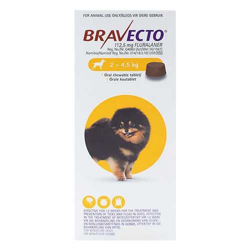 bravecto toy dog