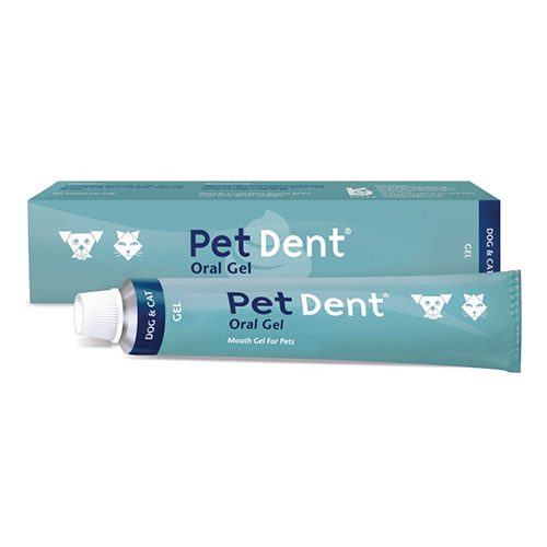 Pet Dent Oral Gel/Chlorhexidin for Dogs | Buy Kyron Labs Pet Dent Oral